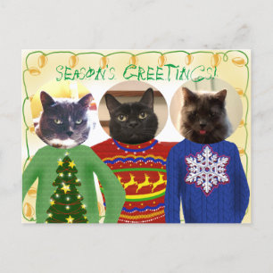 Tus 3 gatos con tarjeta postal de Navidades feos