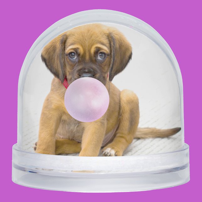 Tus divertidas fotos de perros, 2 en total (Subido por el creador)