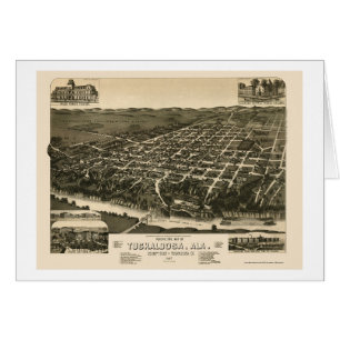 Tuscaloosa, mapa panorámico del AL - 1887