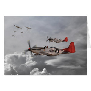 Tuskegee Airmen