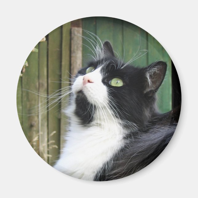 Tux - imán redondo de 2¼ pulgadas (Frente)