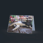 Tuxedo Cat Funny Wave Mexicana Cute Tarjeta de Cum<br><div class="desc">Tarjeta De Cumpleaños De Tuxedo Cat Graciosa Ola Mexicana Cuta. Diseñado a partir de una de mis fotos originales,  ¡disfruta!</div>