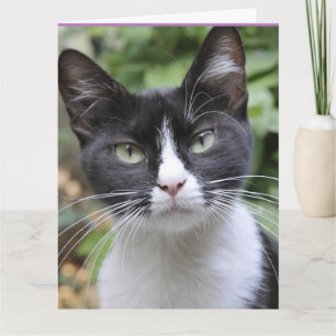 TUXEDO CAT PENSANDO EN TÚ Tarjetas de felicitación