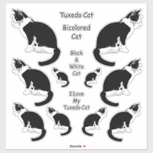 Tuxedo Cats Lg Pegatina Set