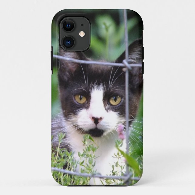 Tuxedo Kitten Xena en el Funda del iPhone 5 en el  (Reverso)