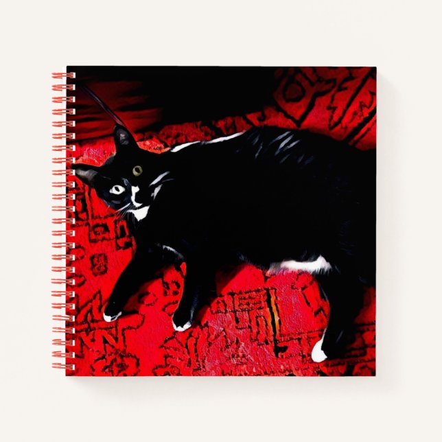 Tuxedo Kitty en cuaderno de espiral de la alfombra (Anverso)