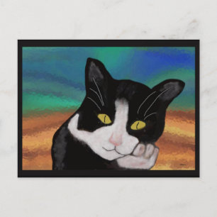 Tuxedo las postales del gato