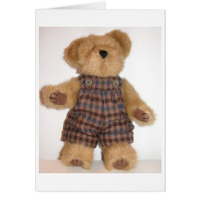 Tweedie Teddy (Frente)