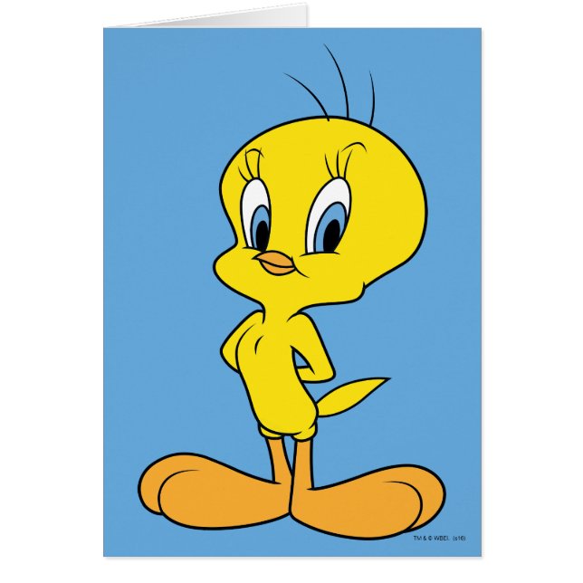 TWEETY™| Ave inteligente (Frente)
