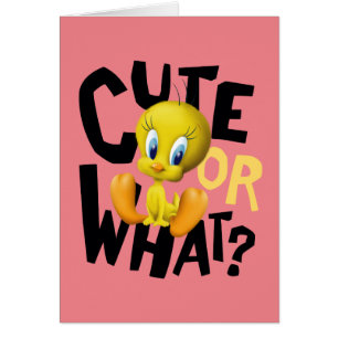 TWEETY™- Cuto O Qué?
