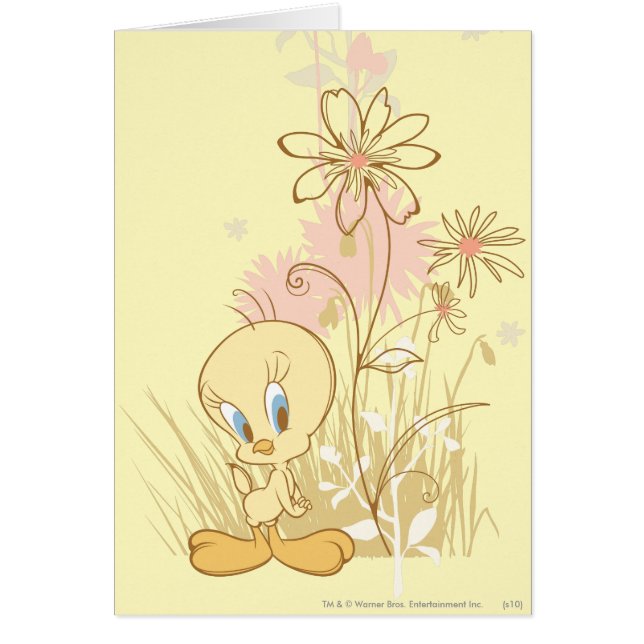 Tweety "Just So Perfect" (Frente)