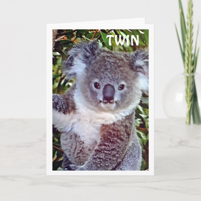 TWIN = "¡LA TARJETA DE CUMPLEAÑOS DE KOALA CELEBRA (Anverso)