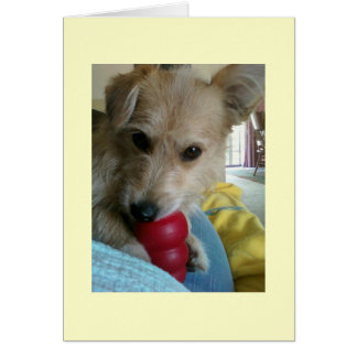 Twinkie el perro maravilla