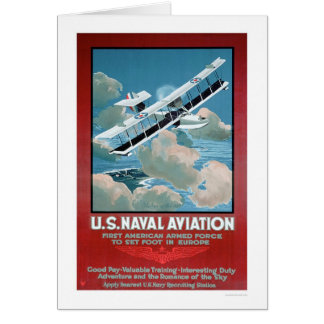 U.S. Aviación naval (US02304)
