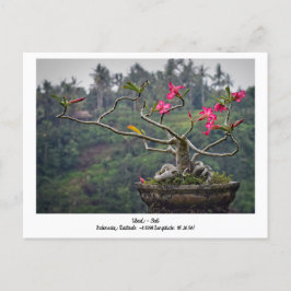 Ubud, Bali Indonesia, tarjeta postal de viaje de v
