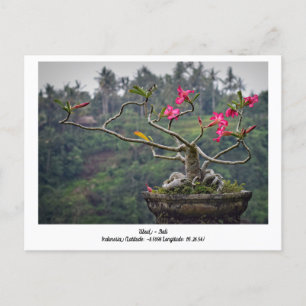Ubud, Bali Indonesia, tarjeta postal de viaje de v