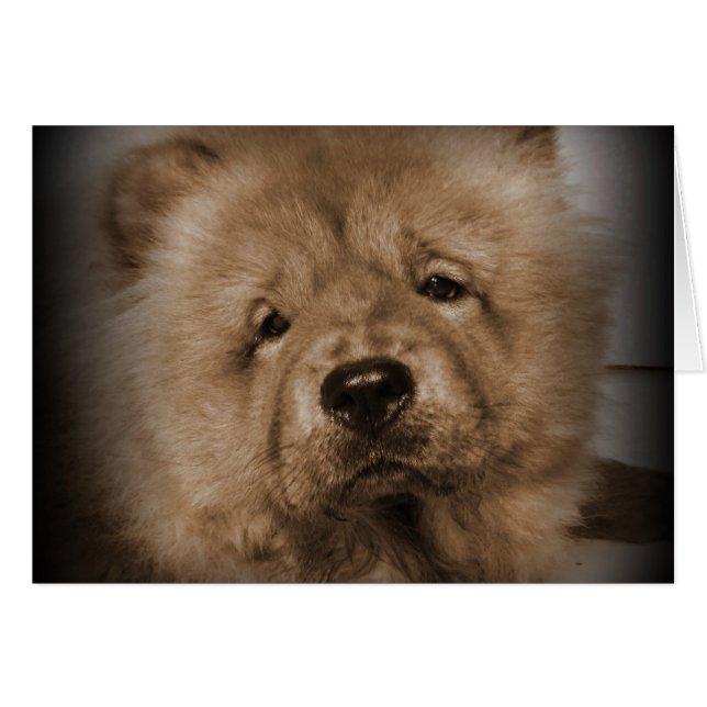 Udon, mi bebé (Anverso (Horizontal))