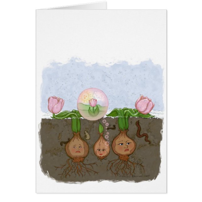 Último bombacho (Frente)