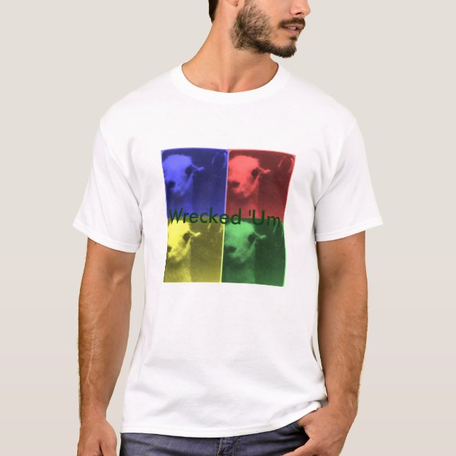 'Um camisa arruinada de la llama (Anverso)