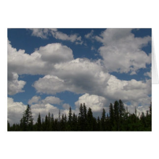 Umatilla Oregon Paisaje Paisaje Paisajista