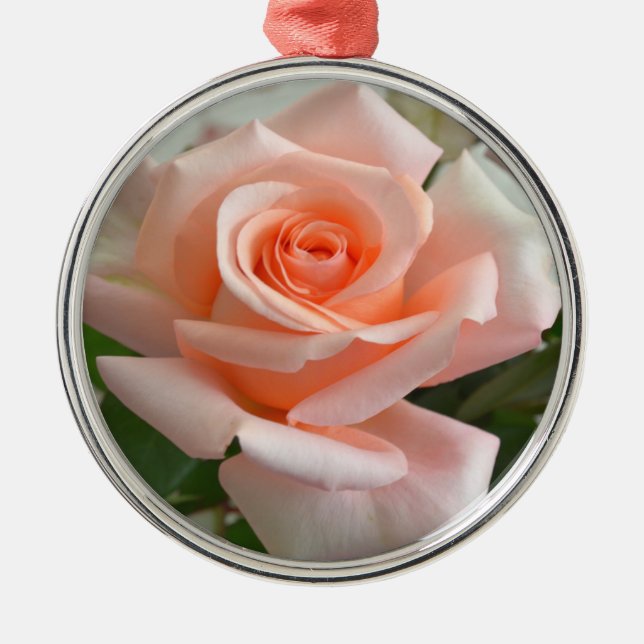 Un adorable ornamento redondo rosa rosa premium (Frente)