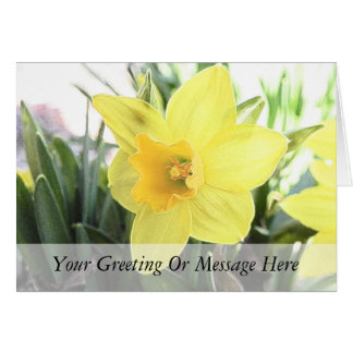 Un alegre Daffodil Amarillo