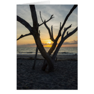 Un amanecer insensato