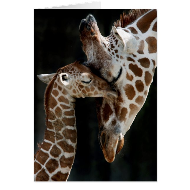 Un amor de madre (Frente)