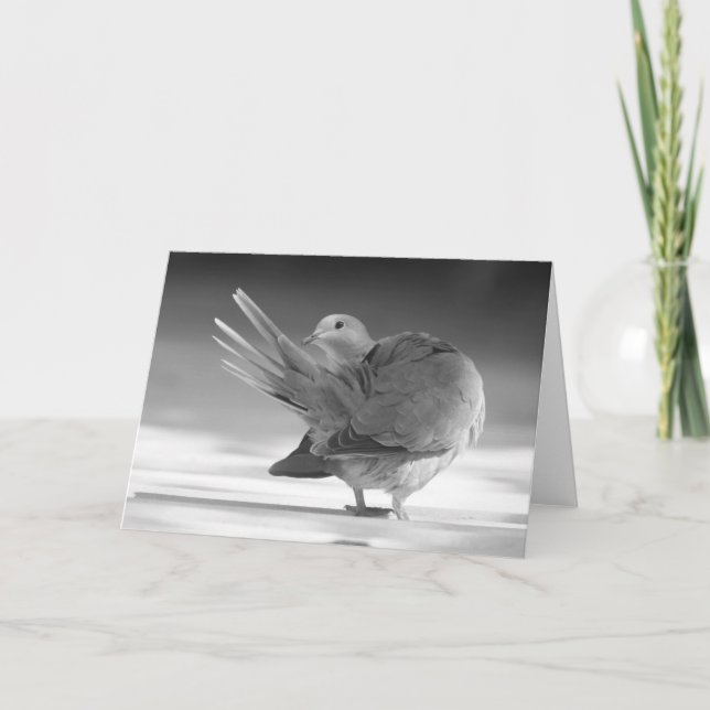 Un ángel en la tarjeta del cielo I (Anverso)