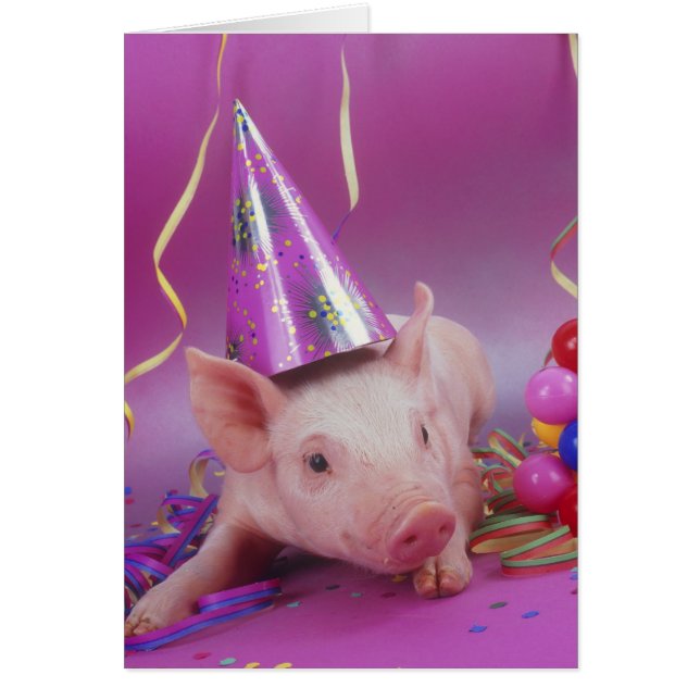 ¡Un animal fiesta! (Frente)