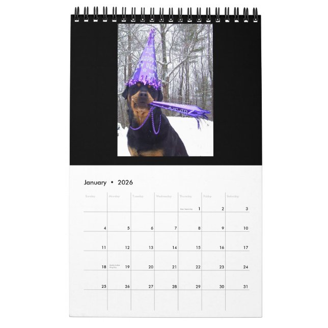 "Un año con el calendario 2016 de Annie" (Jan 2026)