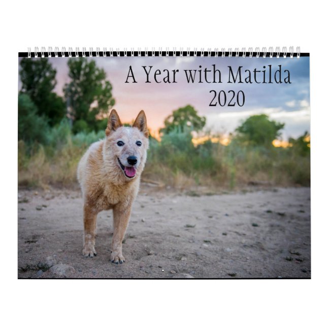 Un año con Matilda: Calendario 2020 (Tapa)