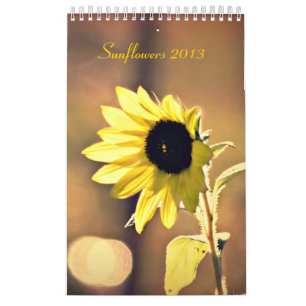 Un año de calendario de los girasoles 2013