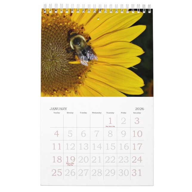 Un año de calendario de los girasoles 2013 (Jan 2026)