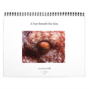 Un año debajo de nuestros mares - calendario 2009