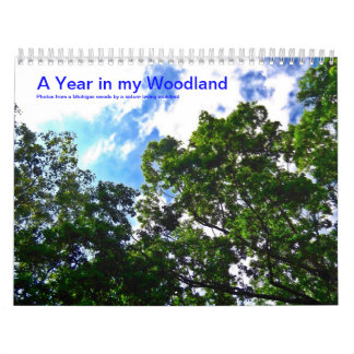 Un año en mi calendario del arbolado 2014