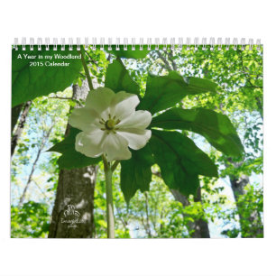 Un año en mi calendario del arbolado 2015