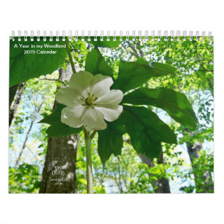 Un año en mi calendario del arbolado 2015