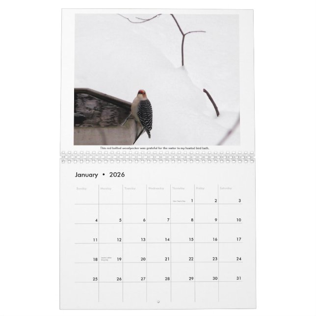 Un año en mi calendario del arbolado 2015 (Jan 2026)