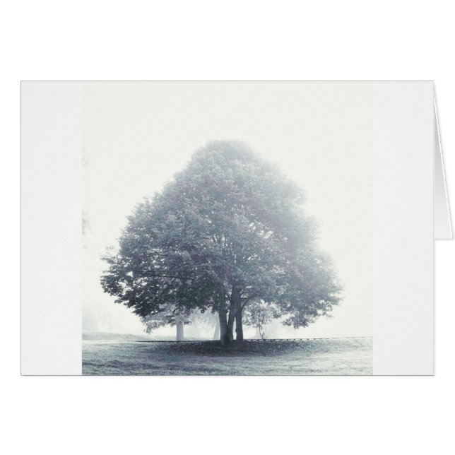 Un árbol en la niebla (Anverso (Horizontal))