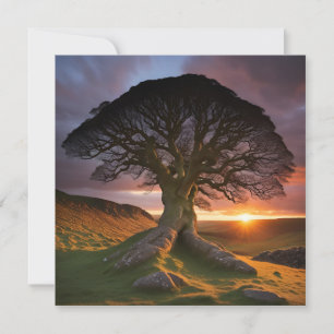 Un árbol solitario en el abrazo de la naturaleza