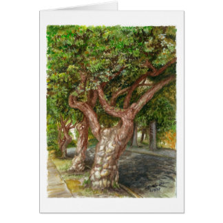 Un árbol viejo en Los Ángeles