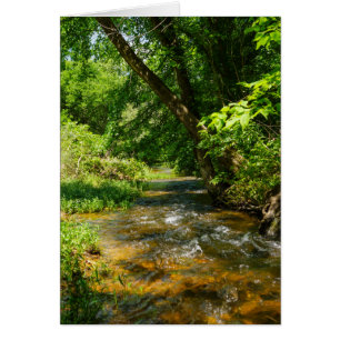 Un arroyo campestre