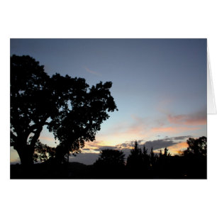 Un atardecer de abril detrás de un roble local