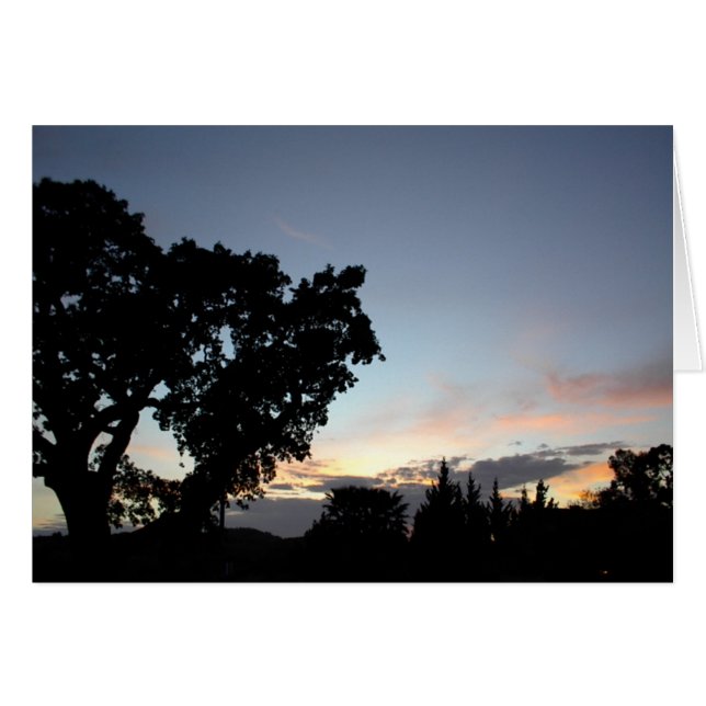 Un atardecer de abril detrás de un roble local (Anverso (Horizontal))