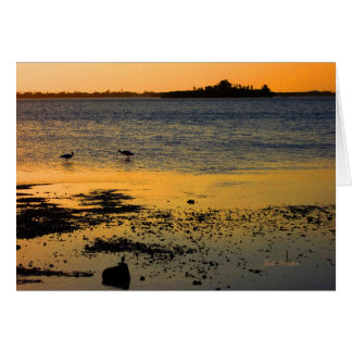 "Un atardecer dorado" en Dunedin, Florida