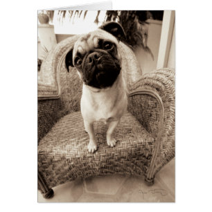 Un barro amasado con su cabeza titulada al lado