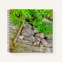 Un bello diario con naturaleza y afirmando el deso