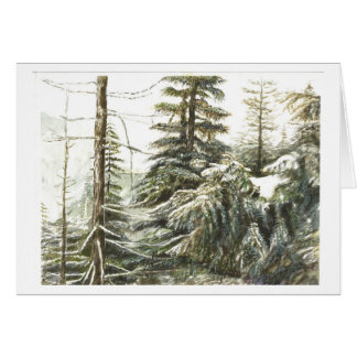 Un bosque de invierno