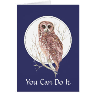 Un búho del día a la vez, pájaro, naturaleza,